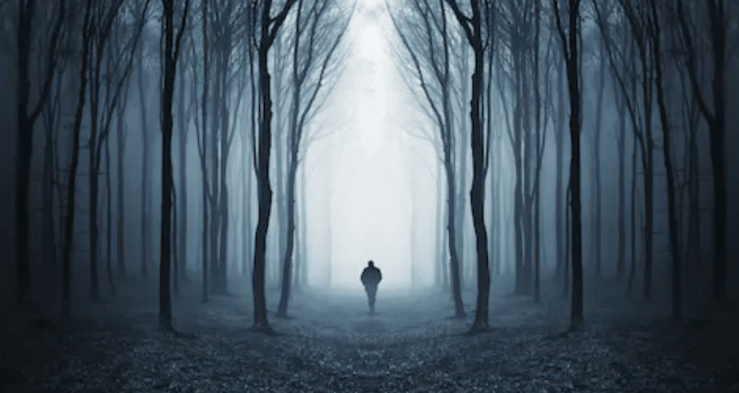 Screen Shot 2019-09-19 at 1.15.08 PM